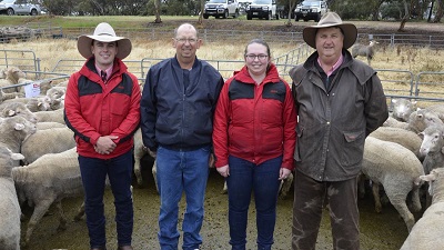 Elders Bordertown livestock agent Wade Broadstock with Hannaton clients Gary Lock,
 Micalea Lock and Elders Bordertown Brenton Henriks pictured with the sale topping pen.