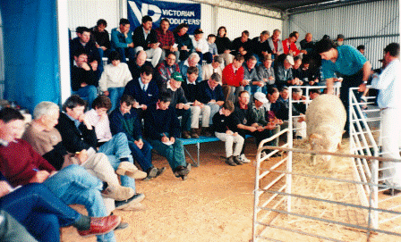 On Property Auction 1995